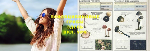 таблы Бронницы