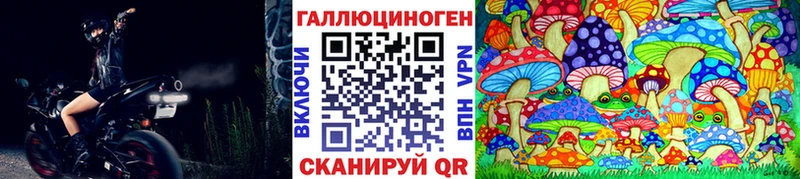 купить закладку  Городец  Псилоцибиновые грибы Magic Shrooms 